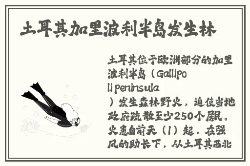 坐在根茎写作业好吗